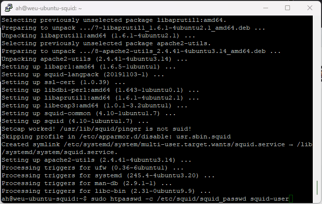 Ubuntu22.04 Squid Passwort