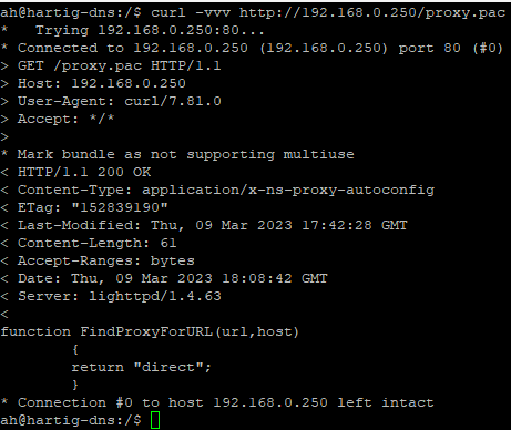 proxy pac Test mit curl